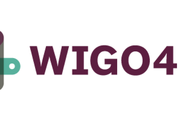 Logo Wigo4it